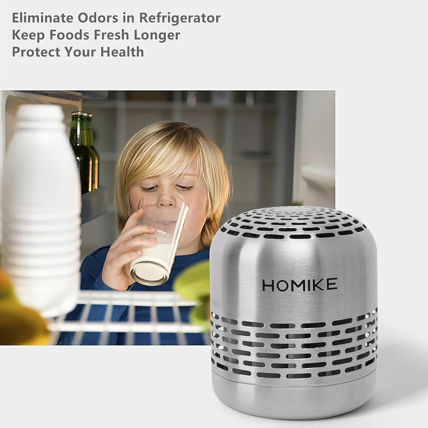 Refrigerator Deodorizer