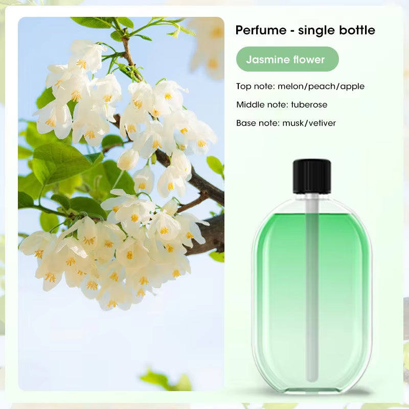 Wall Mounted Automatic Fragrance 